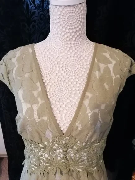 Next Womens dress 12  occasion dress Fully Lined Intricate Lace detail new - Picture 6 of 12
